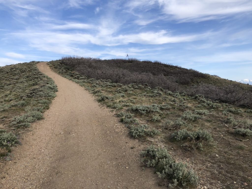 Trail up to the summit of View Benchmark